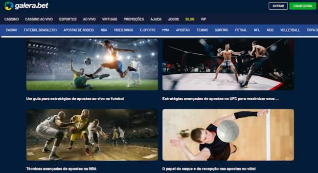 djbet333