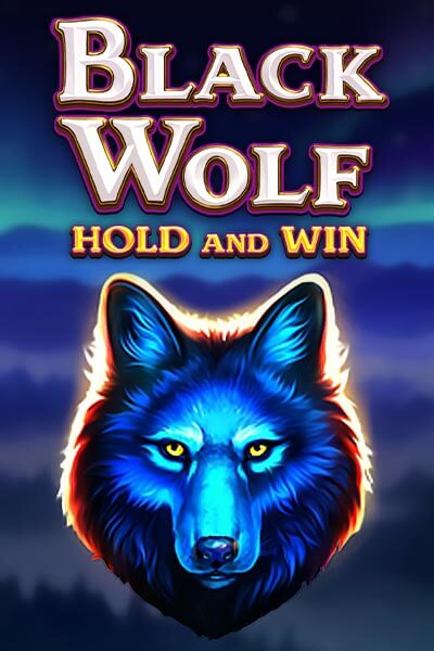 5win. com