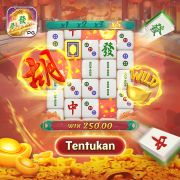 55mbet