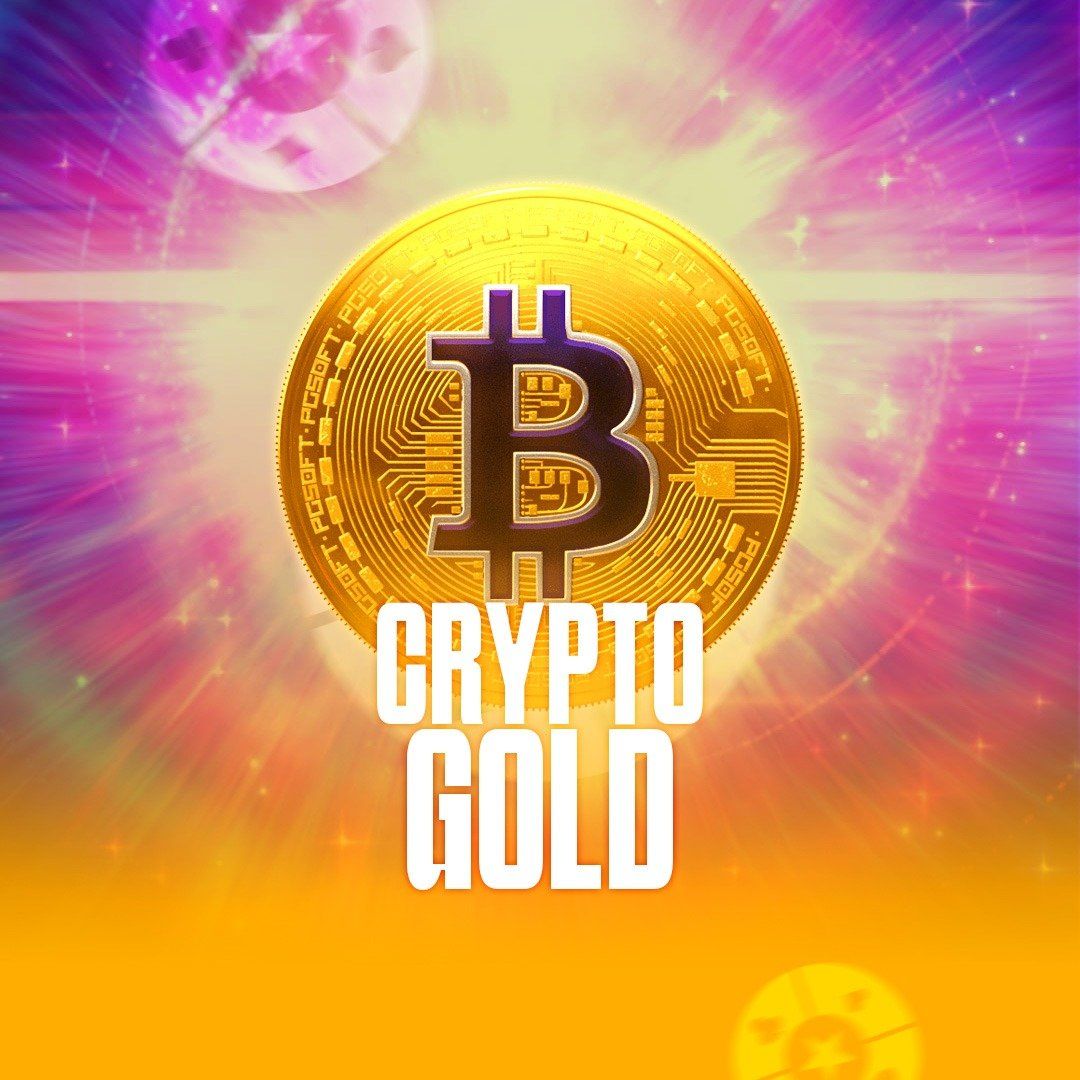 16 bet app