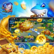 Fkkbet com