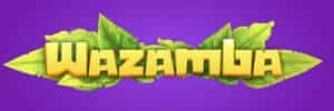 Novo site da blaze