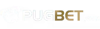 Todos os jogos do galo - Sambabet
